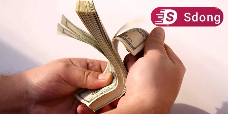 Vay online SDong – Thẩm định hồ sơ sau 30 phút, hỗ trợ tối đa đến 10 triệu đồng